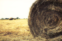 A bale of hay