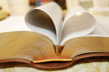 pages of a Bible folded in a heart