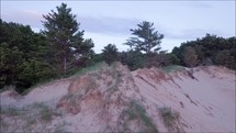 sand dunes and forest 