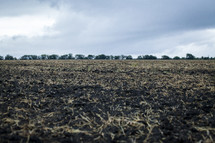 plowed field and rich soil 