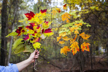 a woman holding fall twigs 