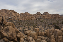 rocks and desert landscape 