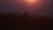 Willow seeds flying in the air during sunset in slowmotion