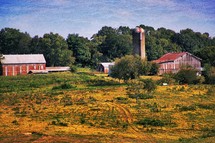 Old farm field