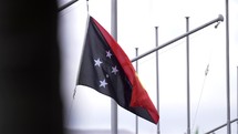 Papua New Guinea flag 
