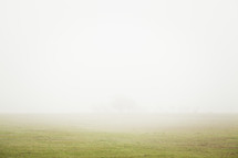 plains and foggy sky 