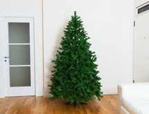 bare Christmas tree 