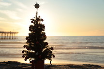 Miniature Christmas tree on the beach