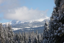 Snow-capped mountains and snow-covered pine trees