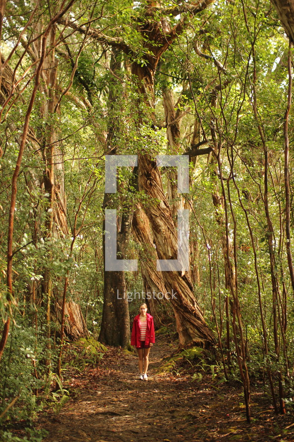 a woman standing on a trail in a tropical forest 