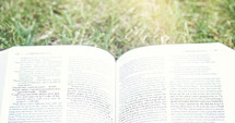 open Bible on grass 