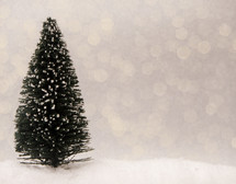 Christmas tree in snow 