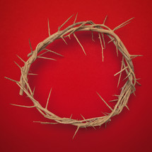 crown of thorns on red 
