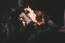burning wood in a fire pit 