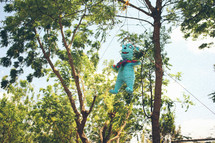 piñata hanging from a tree