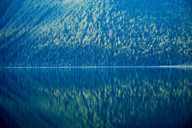 Mountain of trees mirror reflection in a lake.
