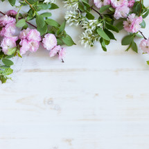 pink flowers on white 