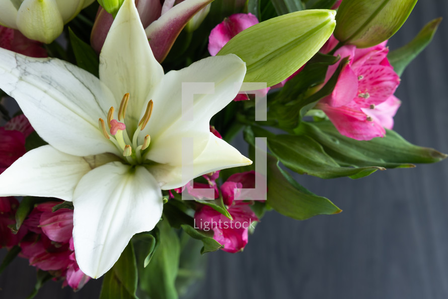 pink and white lilies and wood background 
