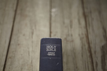 The spine of the Holy Bible