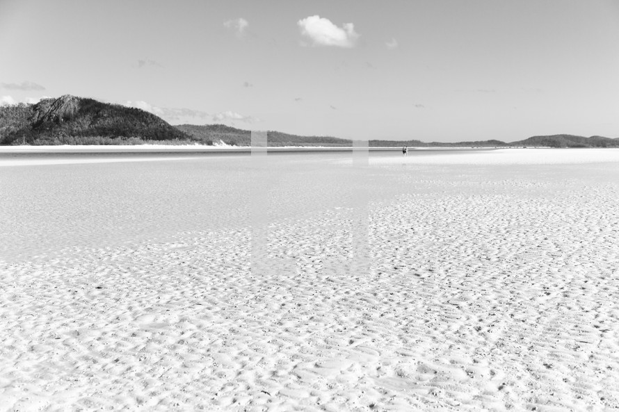 beach sands 