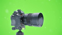 Slow motion of cute yellow bird siskin finch sit on a camera in winter wildlife nature on green screen background, Carduelis spinus
