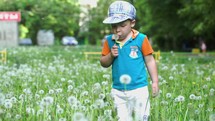 Little child blowing dandelion