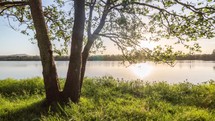 Peaceful evening sunset over green tree on grassy river bank in sunny summer nature Time-lapse
