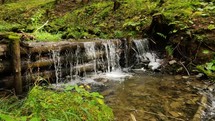 Anti-flood wooden dam in forest stream, waterfall cascade in green nature background