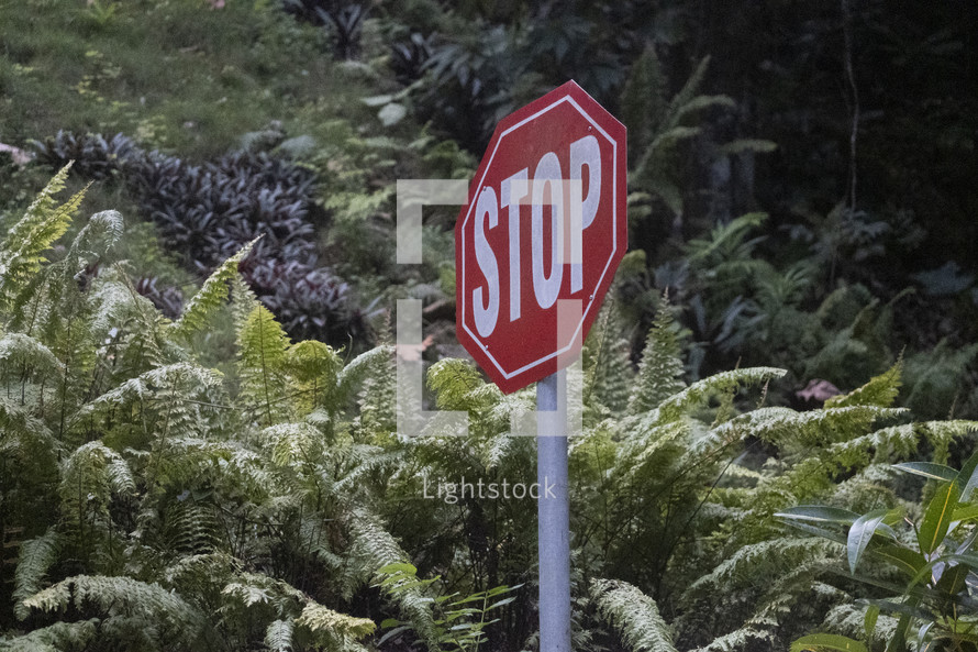 stop sign in a jungle 