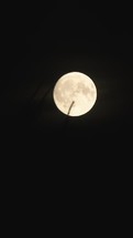 Vertical video of Full moon rising over forest Astronomy time lapse
