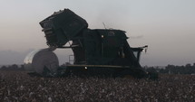 Cotton harvesting machine plowing through a cotton field.