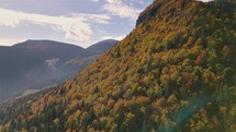 Aerial view of autumn forest in alpine mountains background in sunny day
