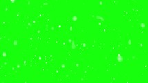It is snowing winter real snow on green screen background
