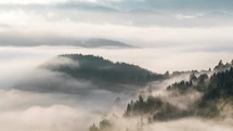 Foggy forest landscape in colors of the morning time-lapse
