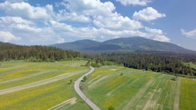 Aerial panoramic view of fresh spring landscape
