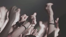 audience with raised hands at a concert