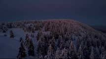 Magic forest with frozen trees in cold winter evening after sunset in mountains nature landscape
