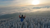 Peaceful paragliding flight above winter forest in misty alpine mountains at sunrise Freedom Adrenaline sport
