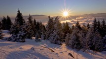 Panorama of Winter snowy forest in cold alpine mountains in colorful sunrise nature
