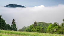 Foggy clouds over forest Time lapse

