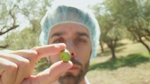 Agronomy scientist holding and looking at an olive for quality check 