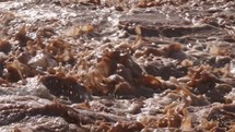 Muddy river water splashes after heavy rain Slow motion
