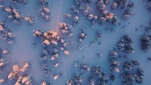 Magic winter forest in frozen wild snowy nature Aerial Bird view