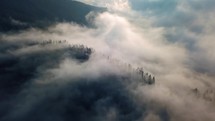 Aerial view of Misty forest nature
