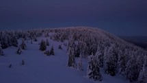 Blue Frozen forest in cold winter evening after sunset in mountains nature landscape
