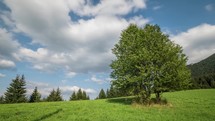 Clouds moving over green trees landscape in sunny summer Time lapse
