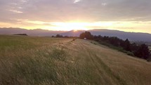 Sunset over golden meadow landscape
