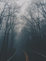 curve on a rural road and fog