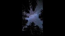 Looking up on Milky way galaxy stars in dark forest silhouette Vertical Astronomy Time-lapse Background 4K

