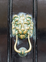 brass lion door knocker 